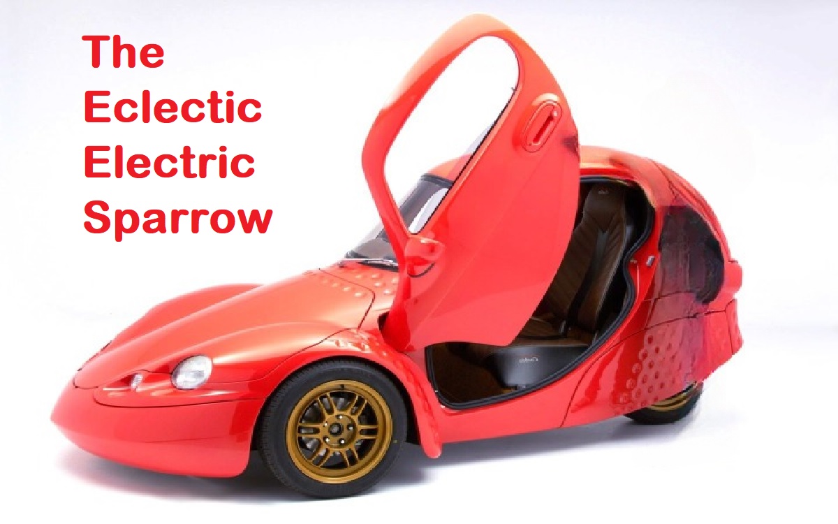 The Eclectic Electric Sparrow
